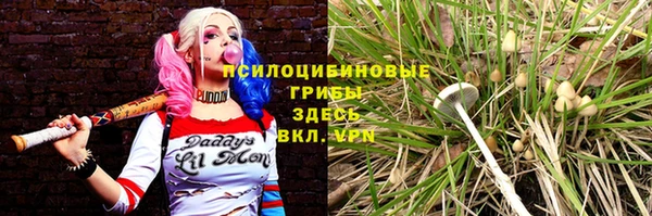 a pvp Аркадак