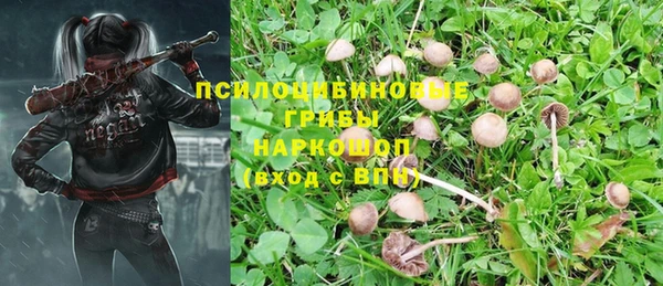 a pvp Аркадак