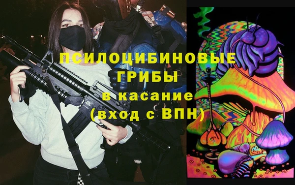 a pvp Аркадак